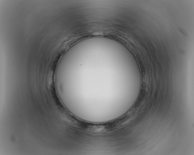X0000113270554200909101313