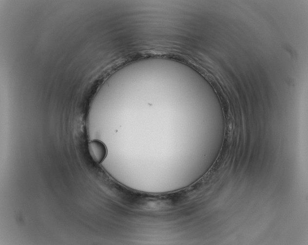 X0000113270555200909101313
