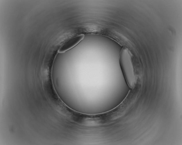 X0000113270556200909101313