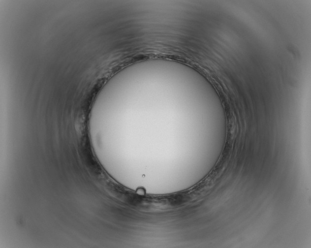 X0000113270559200909101313