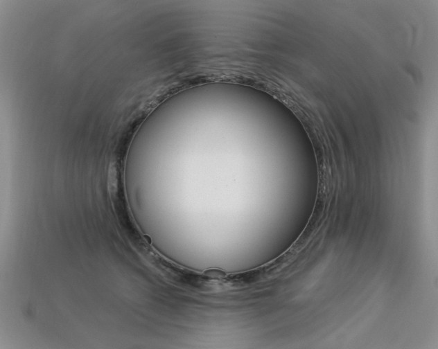 X0000113270562200909101313