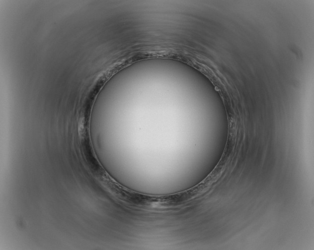 X0000113270564200909101313
