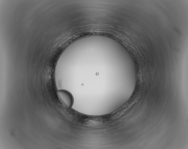 X0000113270567200909101313