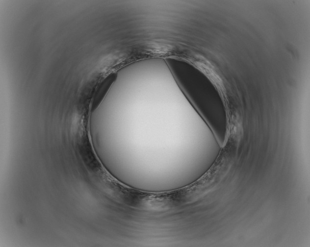 X0000113270568200909101313