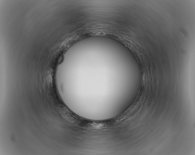 X0000113270570200909101313