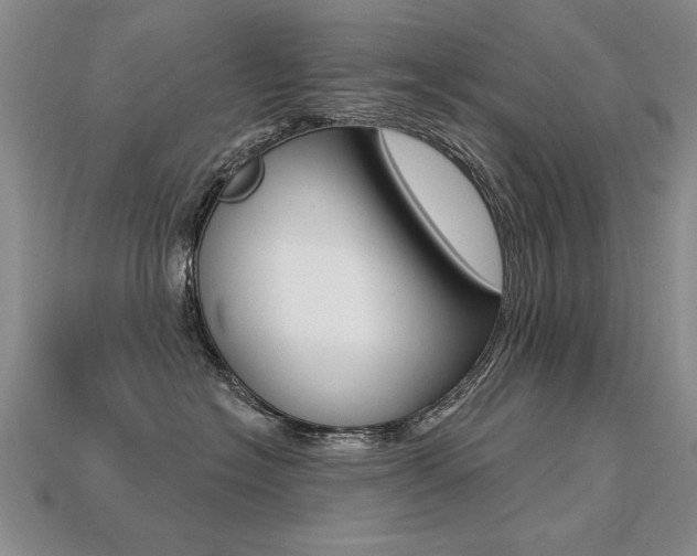 X0000113270574200909101313