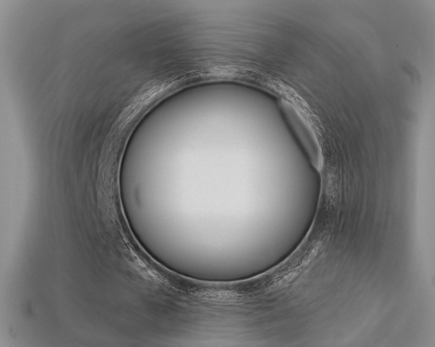 X0000113270577200909101313