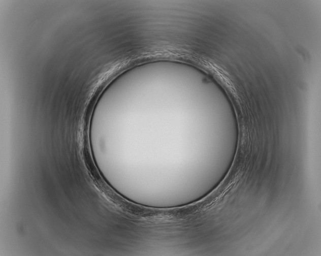 X0000113270578200909101313