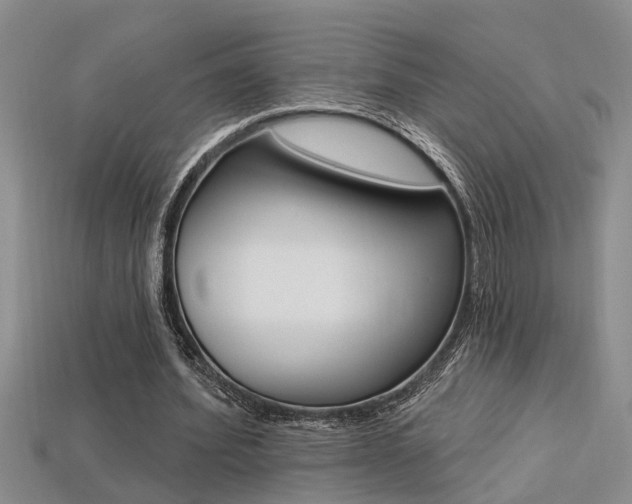 X0000113270580200909101313