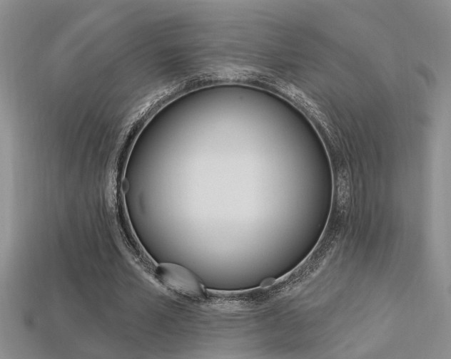 X0000113270581200909101312