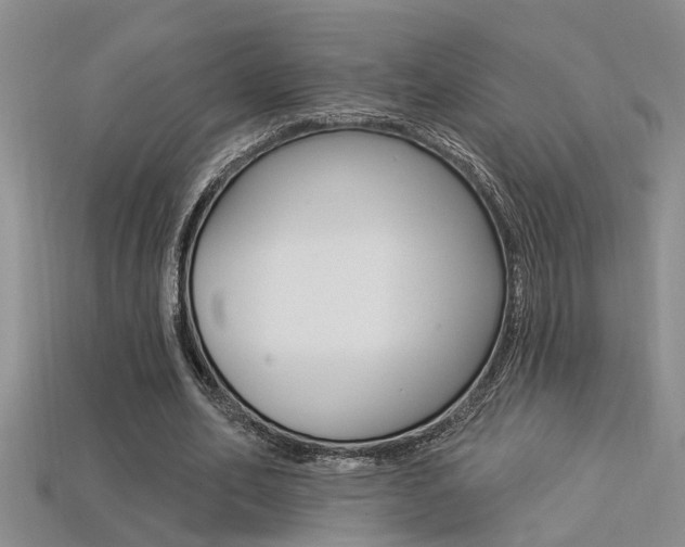 X0000113270582200909101312