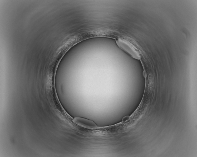 X0000113270585200909101312