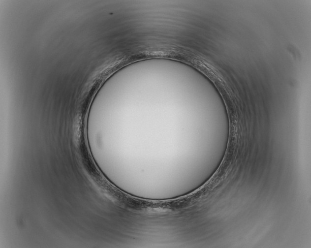 X0000113270586200909101312