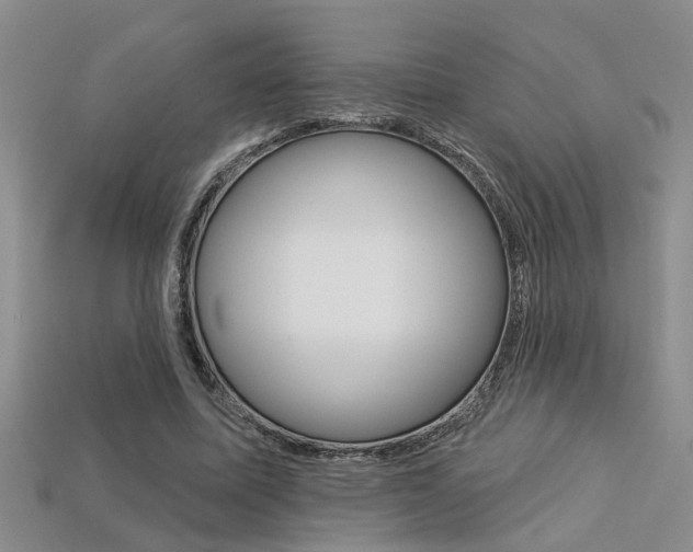X0000113270587200909101312