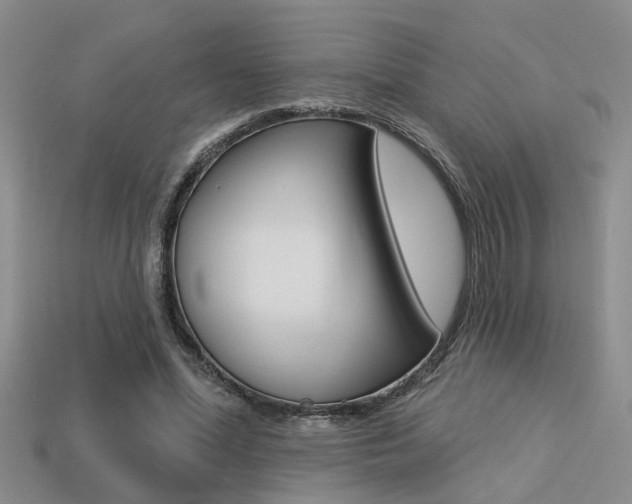 X0000113270588200909101312