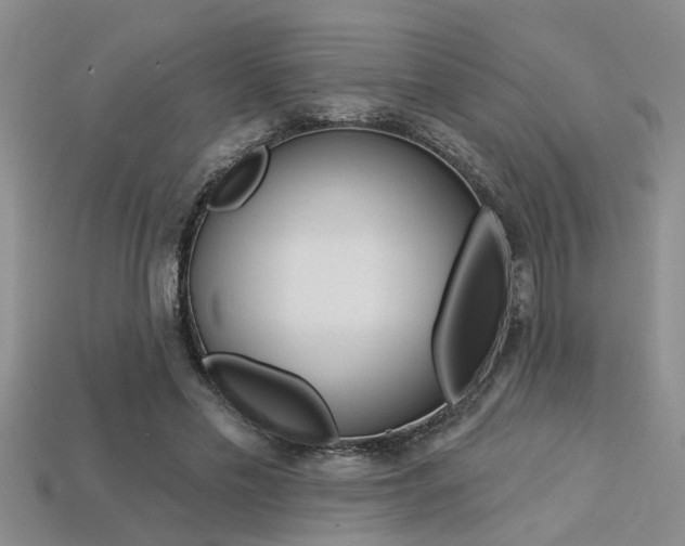 X0000113270589200909101312