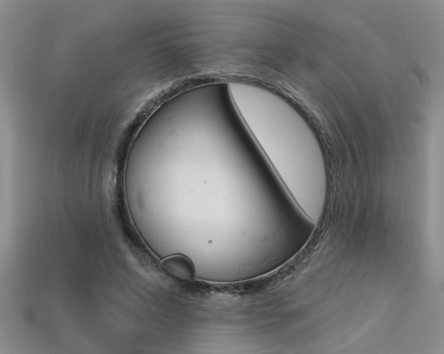 X0000113270592200909101312