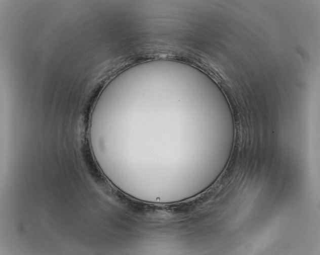 X0000113270594200909101312