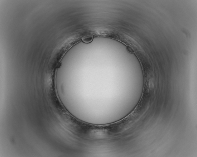 X0000113270595200909101312