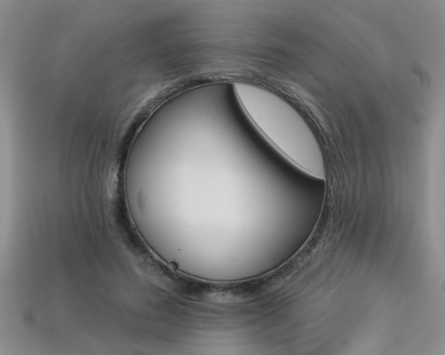 X0000113270596200909101312