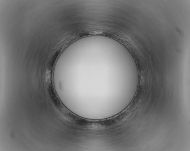 X0000113270598200909101312