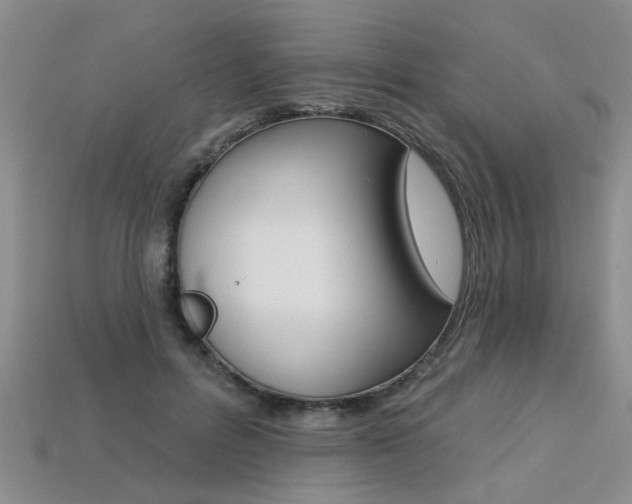 X0000113270600200909101312