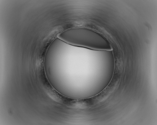 X0000113270601200909101312