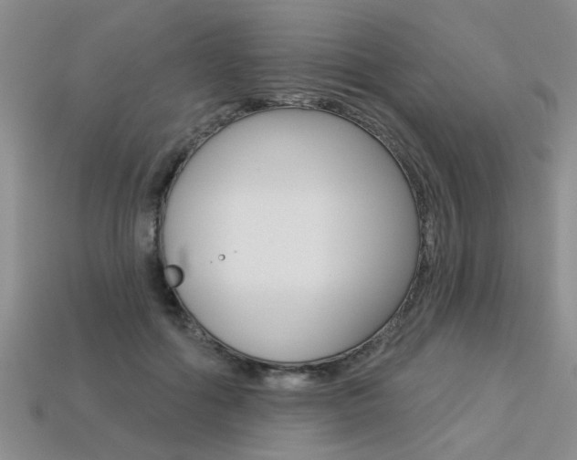 X0000113270602200909101312