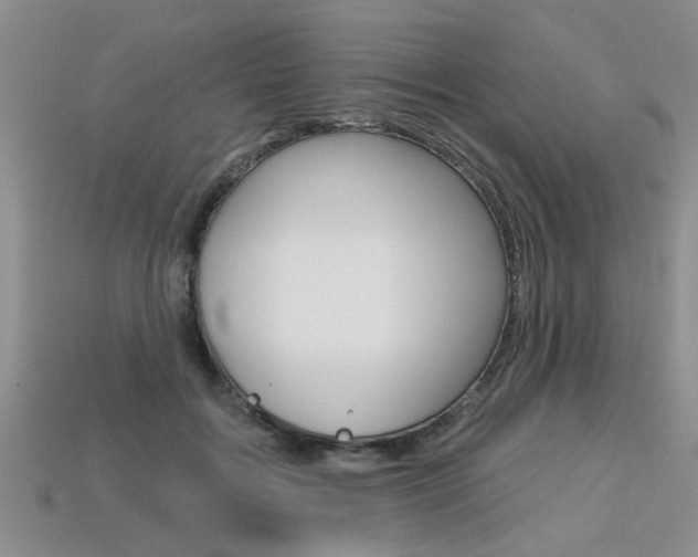 X0000113270603200909101312