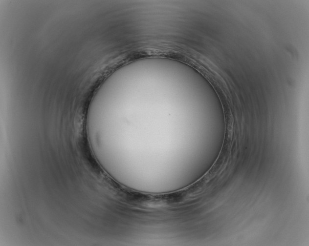 X0000113270604200909101312