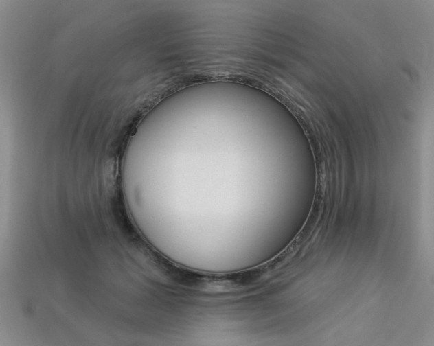 X0000113270605200909101312