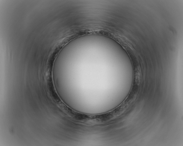 X0000113270608200909101312