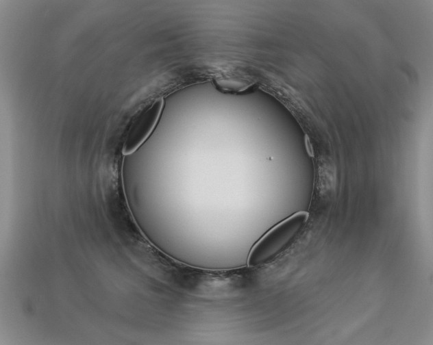 X0000113270613200909101312