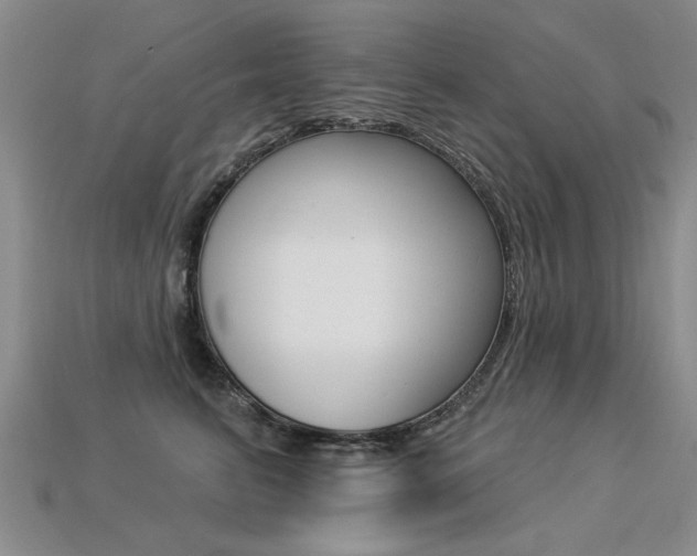 X0000113270615200909101312