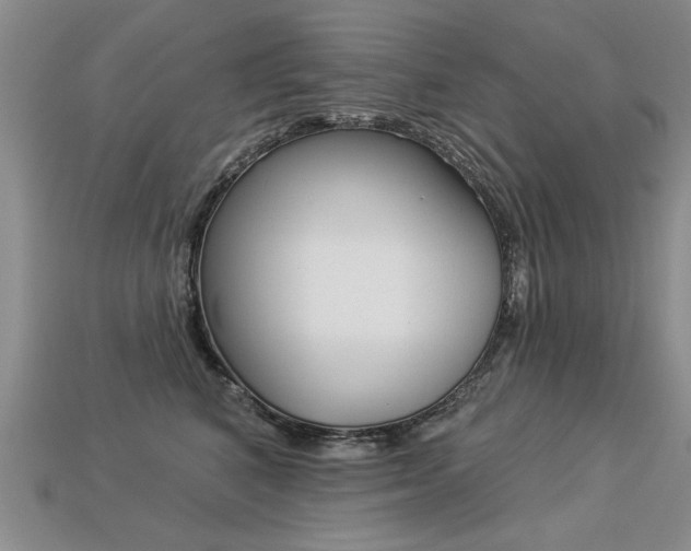 X0000113270616200909101312