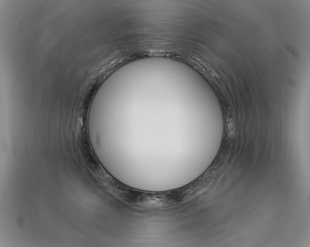 X0000113270618200909101312