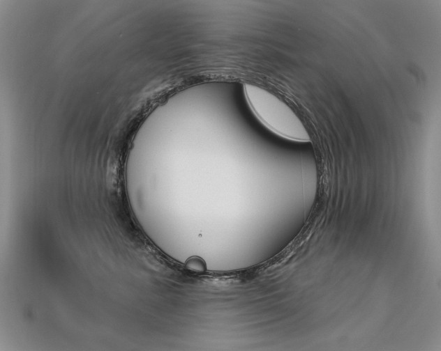 X0000113270619200909101312