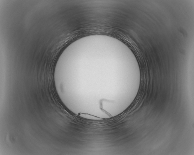 X0000113270621200909101312