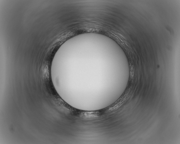 X0000113270622200909101312