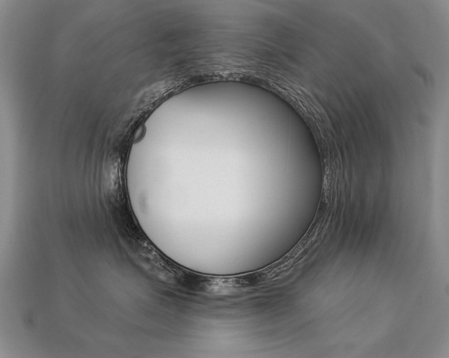 X0000113270623200909101312