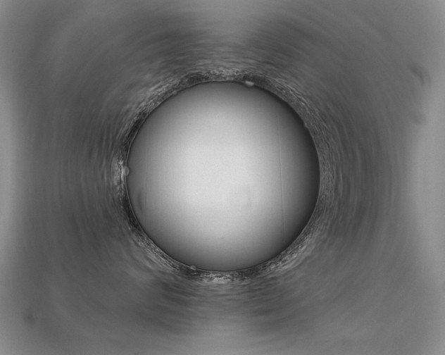 X0000113270624200909101312