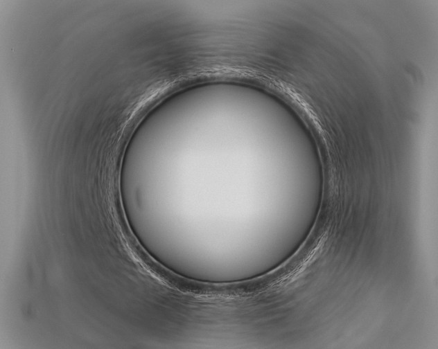 X0000113270625200909101311