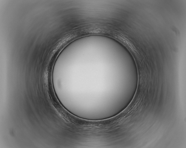 X0000113270626200909101311