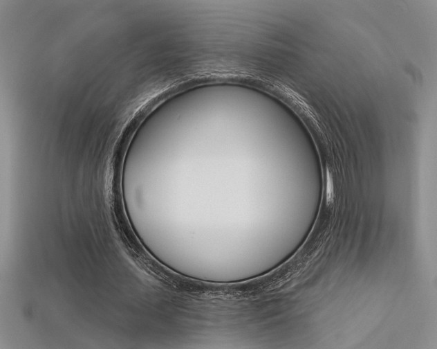 X0000113270627200909101311