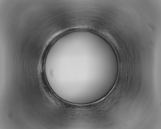 X0000113270628200909101311