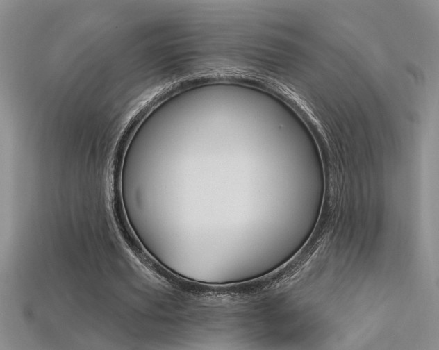 X0000113270629200909101311