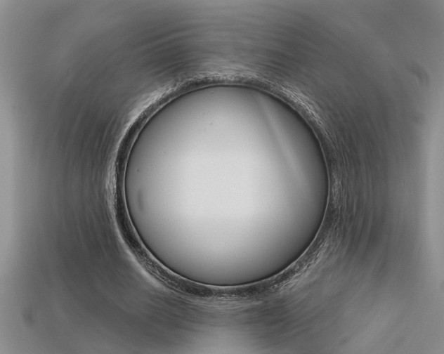 X0000113270630200909101311