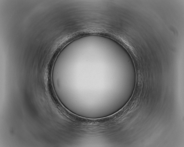 X0000113270631200909101311