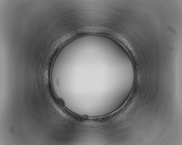 X0000113270633200909101311