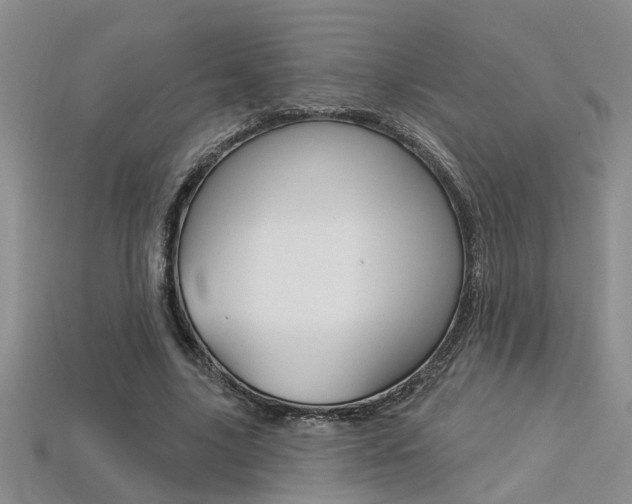 X0000113270635200909101311